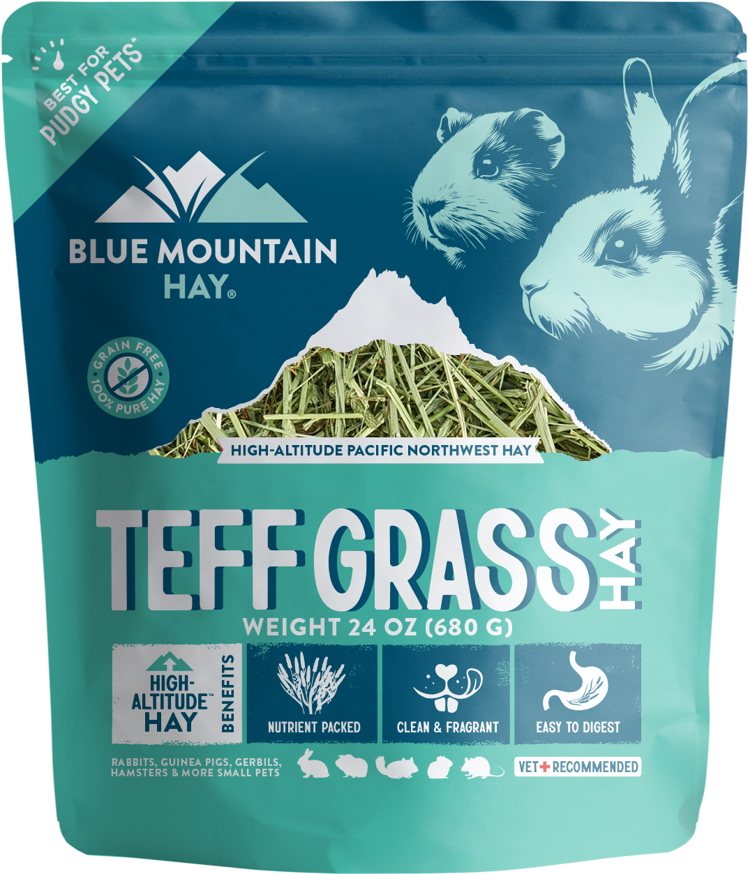 Teff Grass Hay