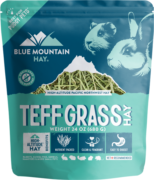 Teff Grass Hay