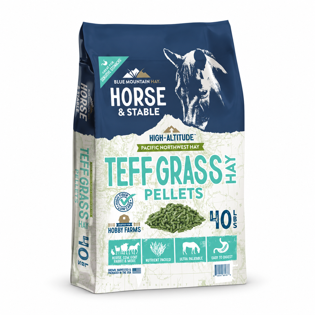 A 40 lb bag of Blue Mountain Hay Horse & Stable Teff Grass Hay Pellets, featuring a navy blue top section with a horse illustration and a textured off-white lower section with product details and branding.
