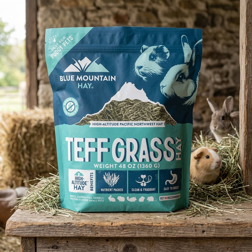 Bag of Blue Mountain Hay Teff Grass Hay with rabbits in the background