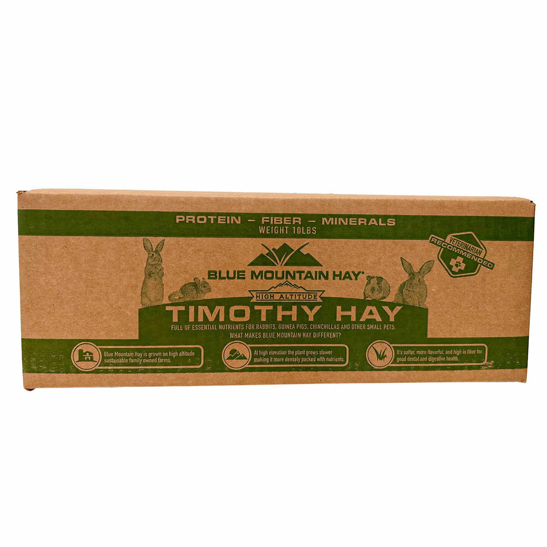 2nd Cutting Timothy Grass Hay