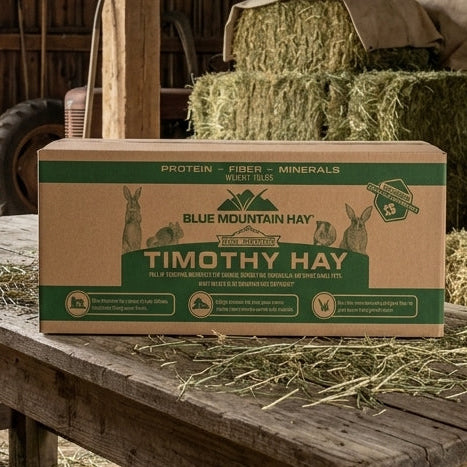 Box of Blue Mountain Hay Timothy Hay on a wooden table in a barn with hay bales in the background.