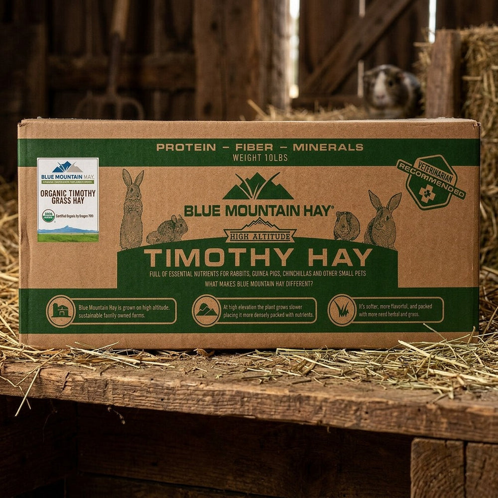 Box of Blue Mountain Hay Timothy Hay on a wooden surface with hay around