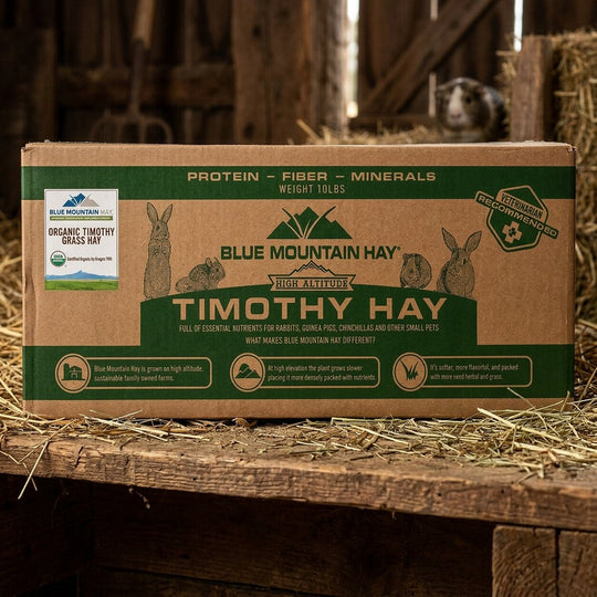 Box of Blue Mountain Hay Timothy Hay on a wooden surface with hay around