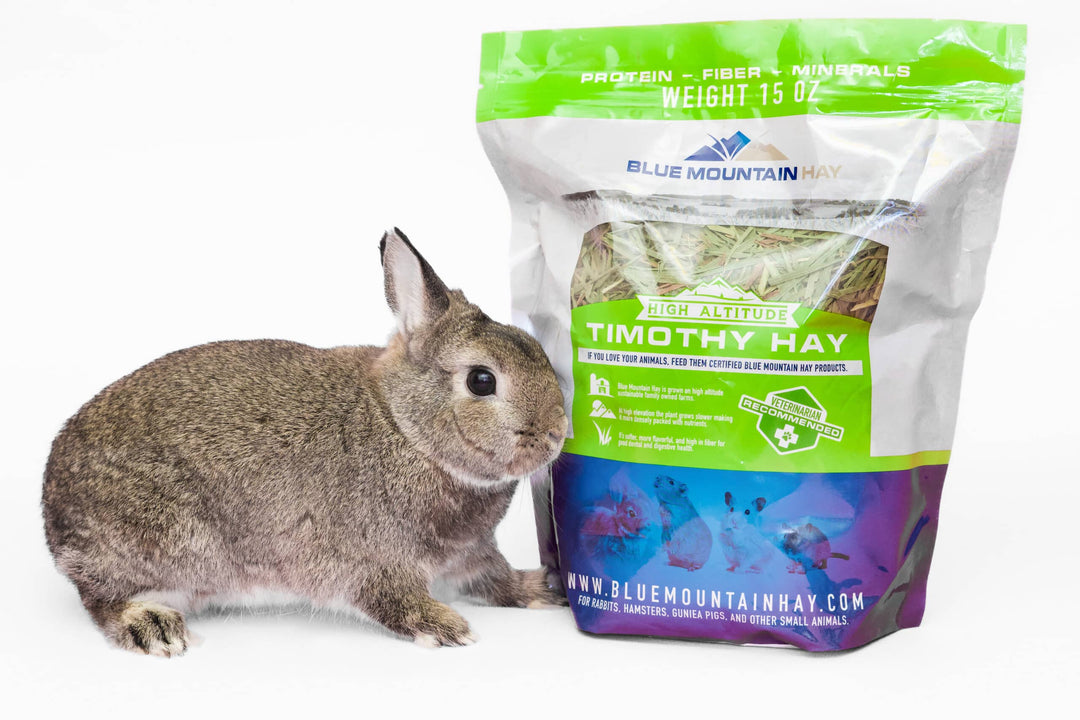 2nd Cutting Timothy Grass Hay