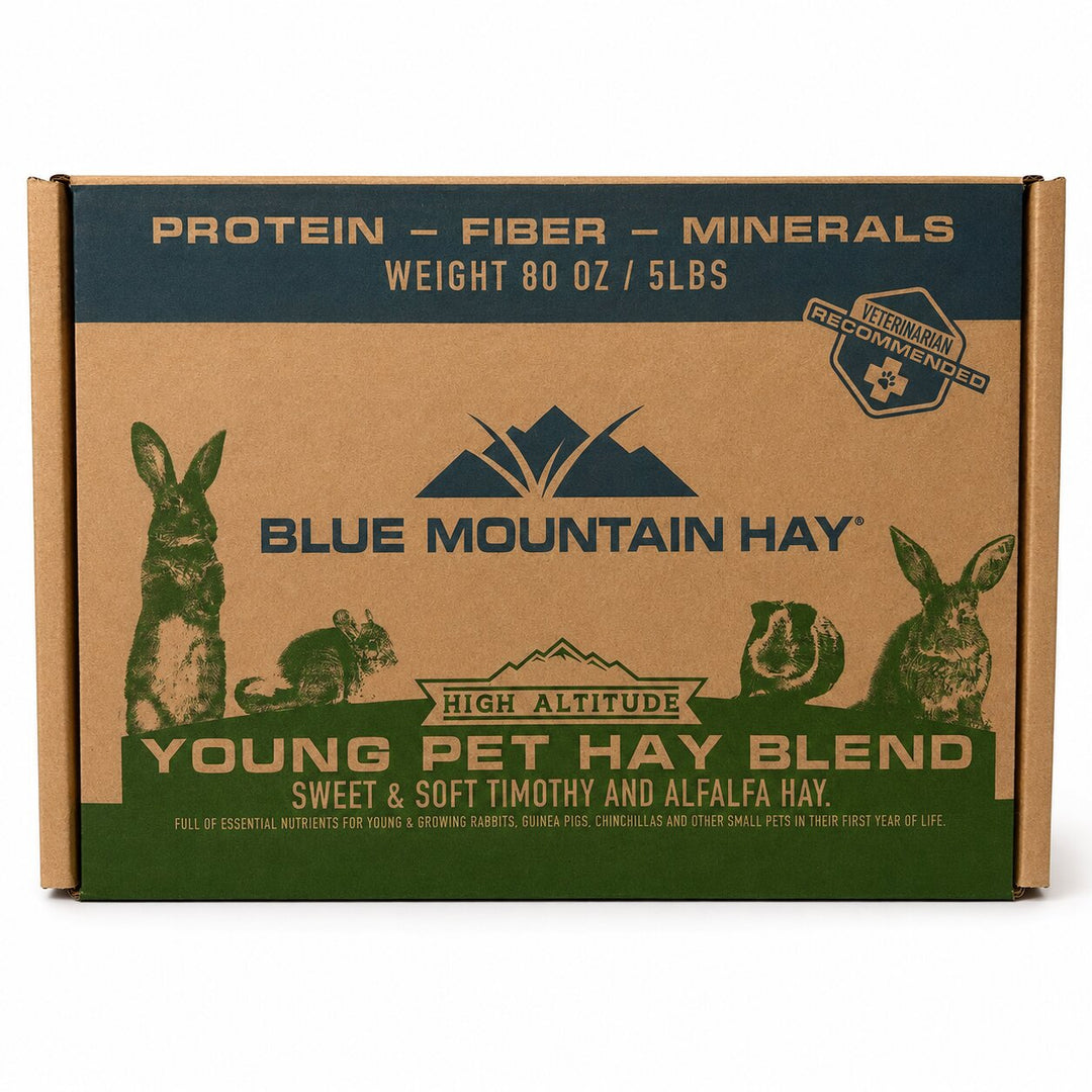 Box of Blue Mountain Hay Young Pet Hay Blend on a white background