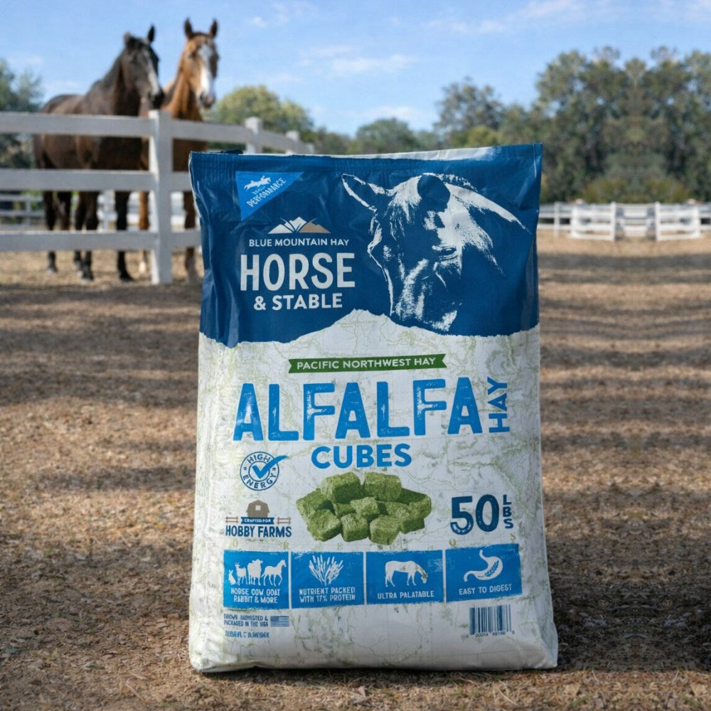 Bag of Blue Mountain Hay Alfalfa Cubes for horses with two horses in the background.