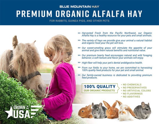 Organic Alfalfa Hay