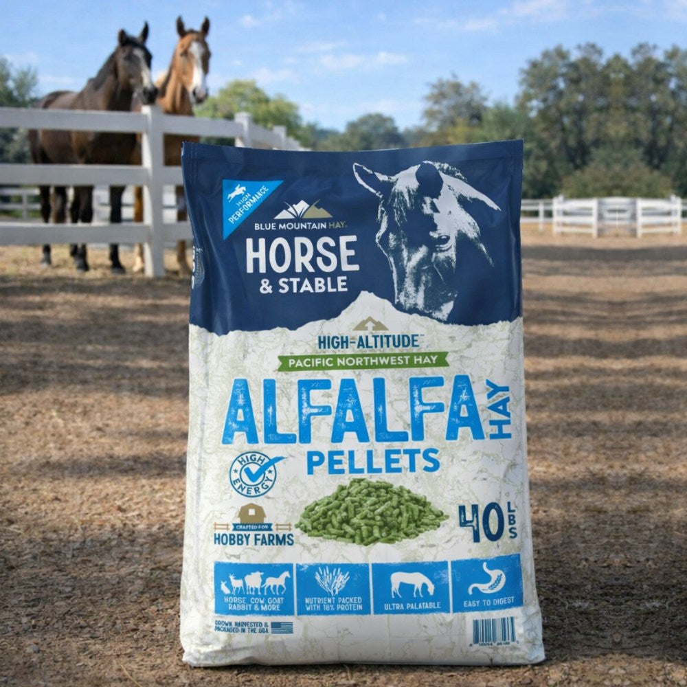 Alfalfa Hay Pellets for Horses