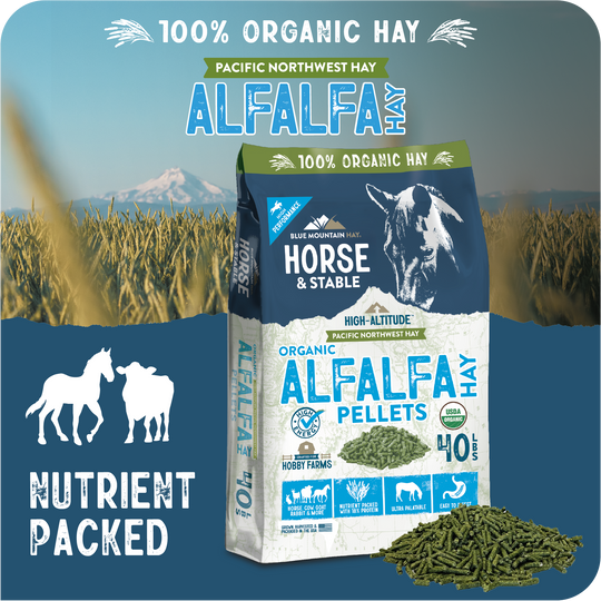 Organic Alfalfa Hay Pellets