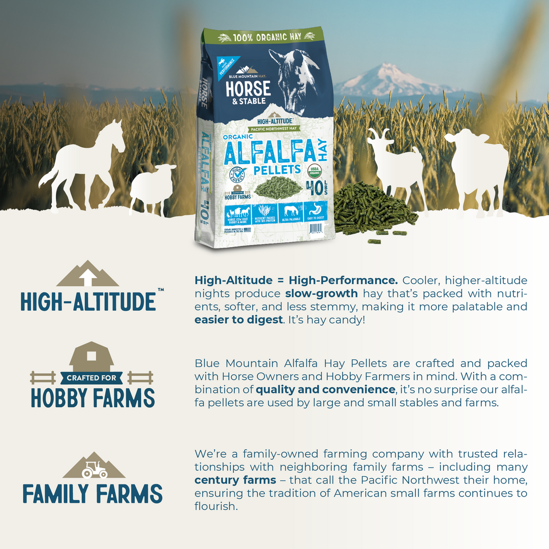 Organic Alfalfa Hay Pellets