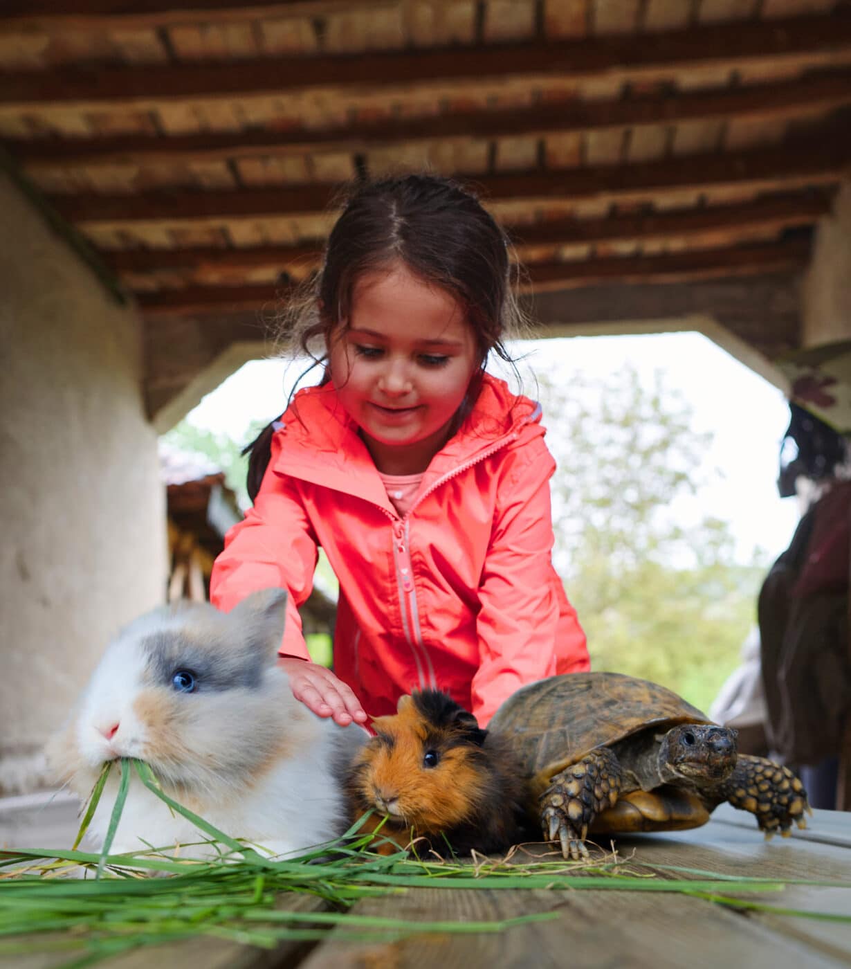 Child with animals