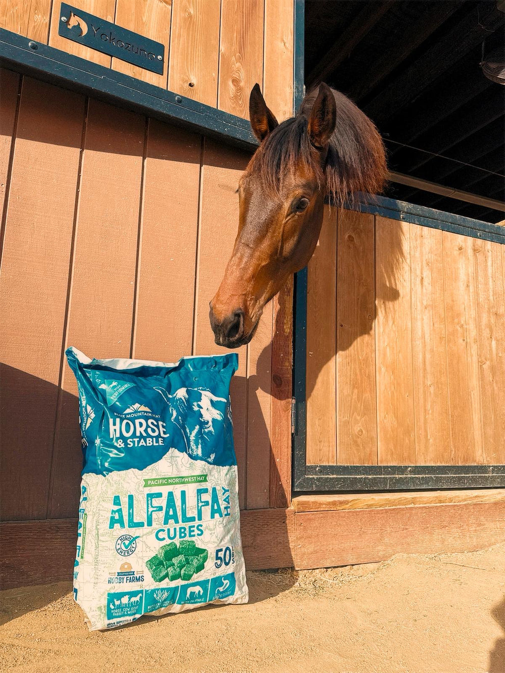 Horse looking over a wooden stable door with a bag of Horse & Stable Alfalfa Cubes in front.