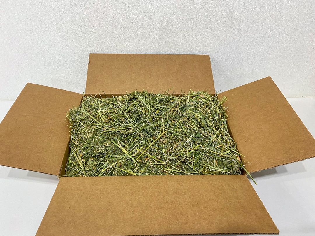 Organic Alfalfa Hay