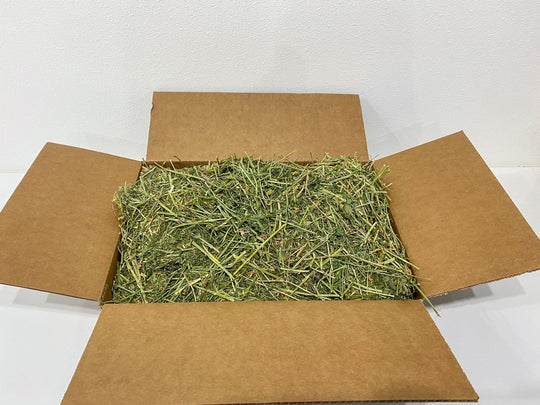 Organic Alfalfa Hay
