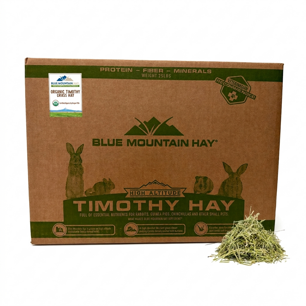 Box of Blue Mountain Hay Timothy Hay with a small pile of hay on a white background