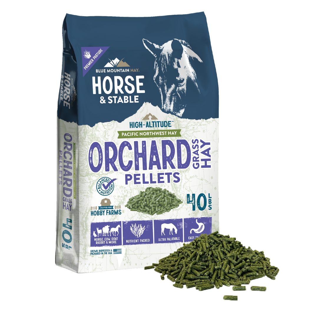 Orchard Grass Hay Pellets