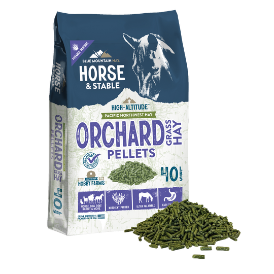 Orchard Grass Hay Pellets
