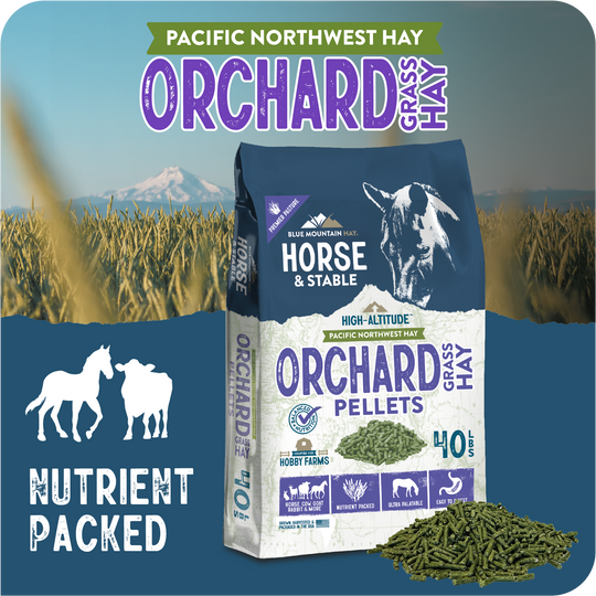 Orchard Grass Hay Pellets