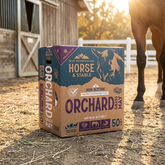 Box of Orchard Grass Hay for horses on a farm with a horse in the background