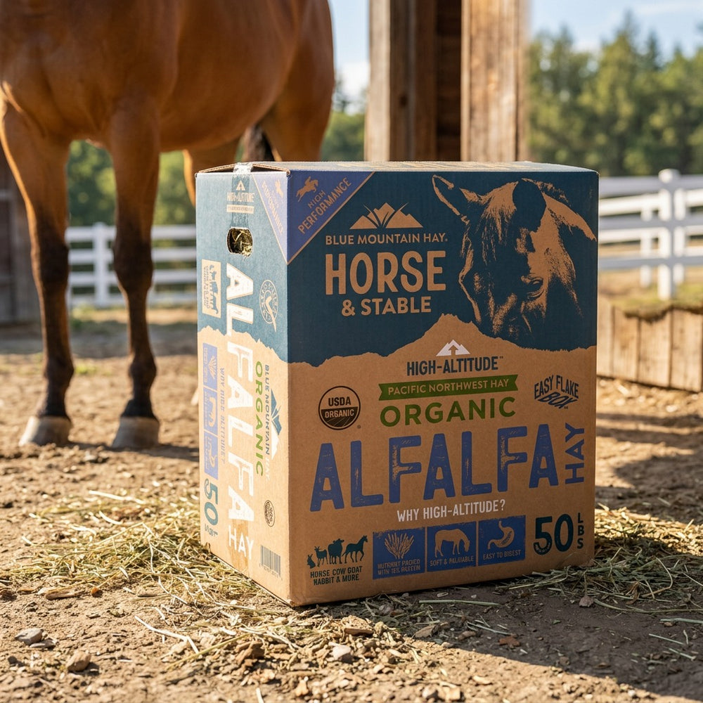 Box of Blue Mountain Hay Horse & Stable Alfalfa hay with a horse in the background