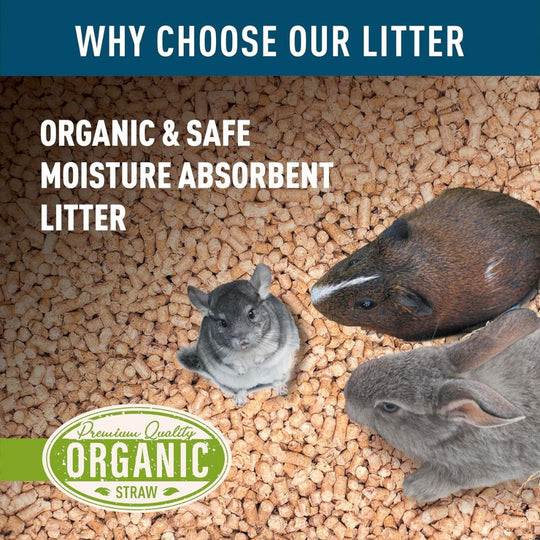 Organic Wheat Straw Litter