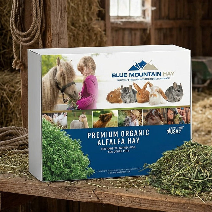 Blue Mountain Hay packaging on a wooden shelf in a barn setting