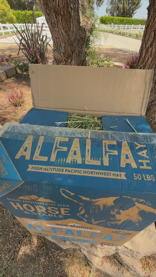 alfalfa hay from a Blue Mountain Hay box in an outdoor paddock being unpacked 