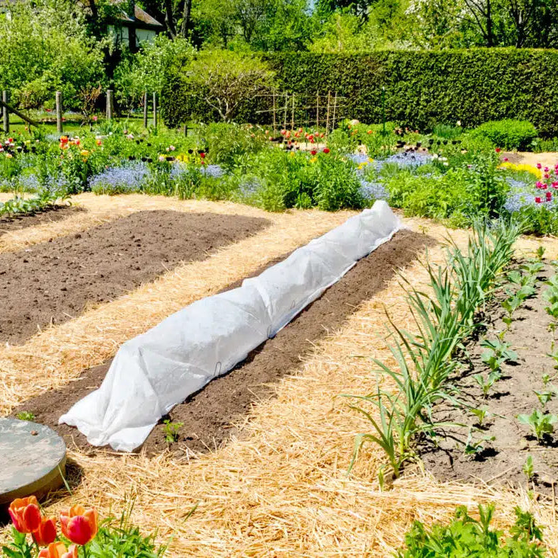 ez straw seeding mulch for vegetable garden Organic Garden Straw | Natural Mulch & Soil Enricher