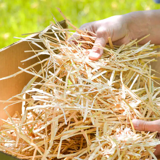 Organic Garden Straw