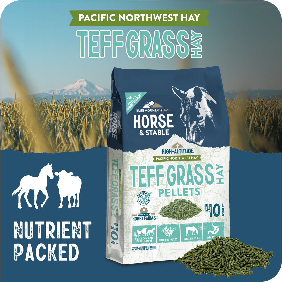 Teff Grass Hay Pellets