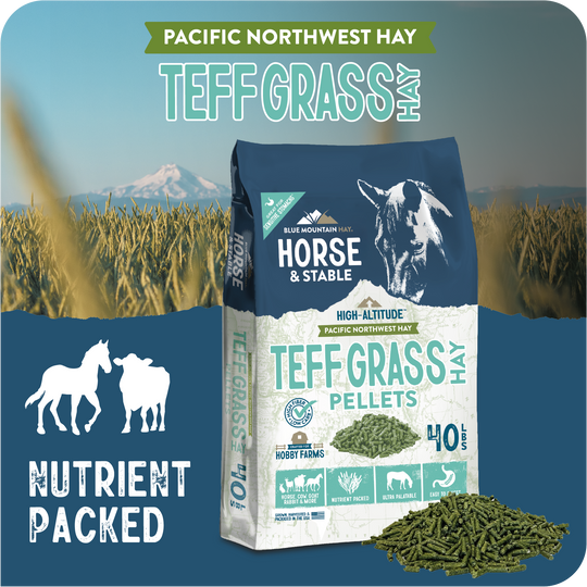 Teff Grass Hay Pellets