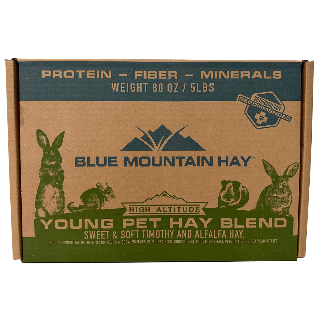 Young Pet Hay Blend