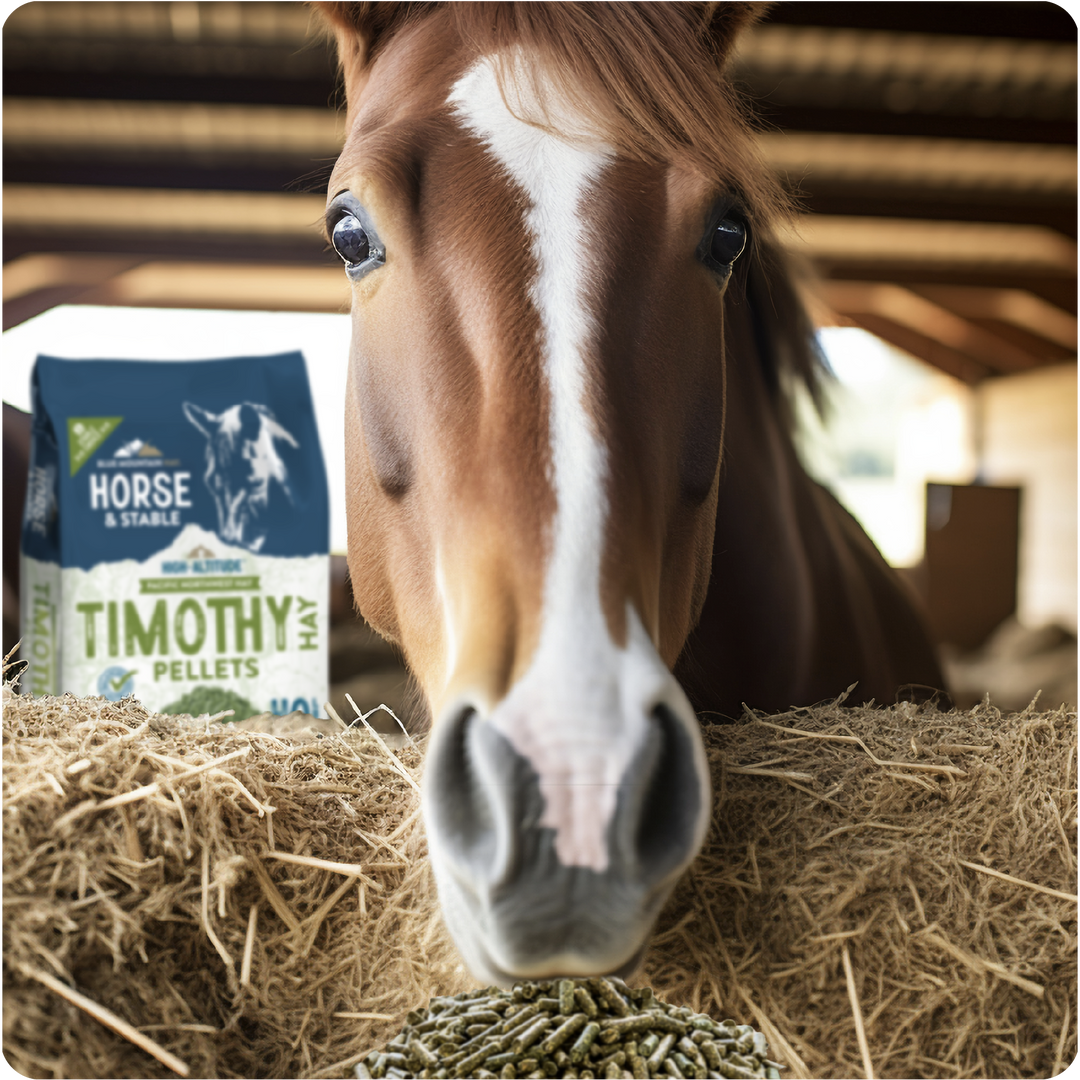 Timothy Hay Pellets